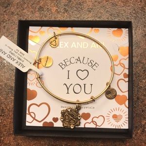 Alex and ani sister bangle